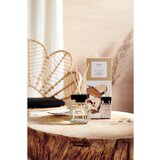IPURO Dišava za prostor Ipuro ESSENTIALS Cedar Wood (50 ml) | Shoptok.si