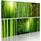  Slika - Bamboo has many faces 120x80 Cijene