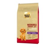 Select Gold Junior Lamb&Salmon 12kg Cene