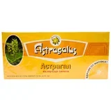 Astragalus - recovering strenght (10x10ml ampule)