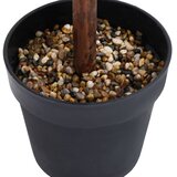  Umjetni šimšir u obliku kugle s posudom zeleni 71 cm | Eponuda.com