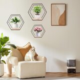SHUESS 5x šesterokotna kovinska stenska polica | Shoptok.si