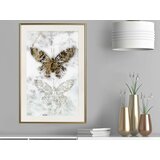  Poster - Butterfly Fossils 30x45 | shoptok.hr