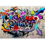  Foto tapeta - Street Game 500x350 Standard | shoptok.hr