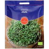 De Bolster "Alfalfa" kalčki Cene