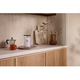 WoodWick Cherry Blossom & Vanilla mirisna svijeća s drvenim fitiljem 610 g | shoptok.hr