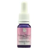 Helping Flowers® mešanica G - Vstran s stresom esence | Shoptok.si