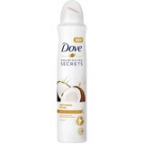 Dove dezodorans 250ml Coconut Cene