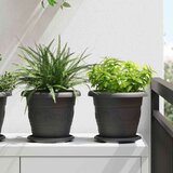  Krožni cvetlični pladenj 24 pcs Črna Ø 17,5 x 2 cm Plastika, (5000207699) Cene