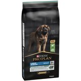 Purina PRO PLAN Large Adult Robust jagnjetina & riž Sensitive Digestion - 14 kg | shoptok.hr