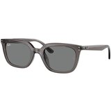 Ray-ban Naočare za sunce RB 4439D 667587 Cene