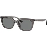 Ray-ban RB4439D 667587 - ONE SIZE (54)