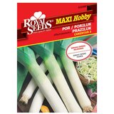 ROYAL SEEDS Sjeme povrća MAXI HOBBY 88 PORILUK CARENTAN 4 | shoptok.hr