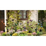 Ambia Home OKRASNA ROŽA | Shoptok.si