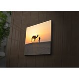 Wallity Zidna slika sa LED osvjetljenjem 2828IACT-42, 28x28 cm | Eponuda.ba