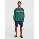 O'neill Majica rjava / temno zelena | Shoptok.si