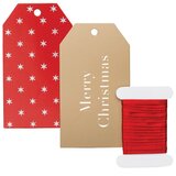  PRIVJESNICE BOŽIĆNE PK10 STEWO 5115 80 SORTIRANO BLISTER | Shoptok.si