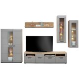 Mömax Vitrina Auris, Siva, Barva Hrasta | Shoptok.si