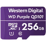 Wd Western Digital Vijolična SC QD101 WDD256G1P0C/flash spominska kartica/256 GB/microSDXC UHS-I