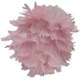  Novogodišnji ukras perije 10cm roze | ePonuda.com