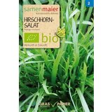 Samen Maier Solata jelenji rogovi Cene