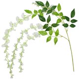 Ginger Ray® glicinija white Cene