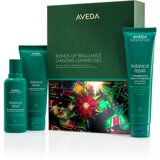Aveda Holiday Bonds of Brilliance: Botanical Repair™ Strengthening Essentials božični darilni set za lase Cene