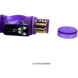 Baile 2024 Vibrator Rabbit Lybaile Happy Rabbit Purple | Shoptok.si