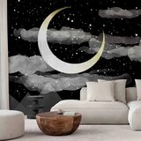  Foto tapeta - Night Glow 250x175 Standard Cijene