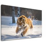  Slike na platnu ŽIVOTINJE_048-11 (moderne slike na platnu) | ePonuda.com