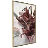  Poster - Burgundy Solace 40x60 Cijene