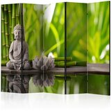 Artgeist PARAVAN 225/172/3 cm siva, svetlo zelena | Shoptok.si