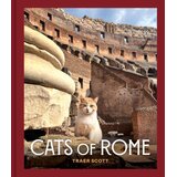  Cats of Rome Cene
