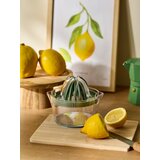 Sinsay Cjedilo za agrume 4 pack | shoptok.hr