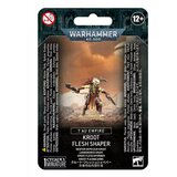 Games Workshop T'au Empire: Kroot Flash Shaper Cene