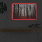 Wallity Slika sa LED osvetljenjem 4570DHDACT-106, 45x70 cm | Eponuda.com