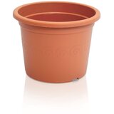 Prosperplast saksija plastica terakota Cene