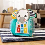 BABY EINSTEIN Chase & Tap Earl Interactive Crawling Toy glazbena igračka 6 m+ 1 kom | shoptok.hr