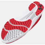 Under Armour Women's shoes W Charged Speed Swift | shoptok.hr