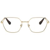 Swarovski Naočare SK 1011 4013 | ePonuda.com