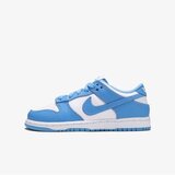 Nike patike za dečake dunk low bp CW1588-103 | ePonuda.com