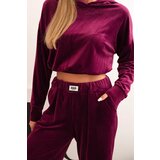 Kesi Włoski Women's velour tracksuit with wide legs and a hoodie plum | Eponuda.ba