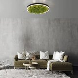 PAUL NEUHAUS led plafonska svetiljka sa islandskom mahovinom green ritus R400 | ePonuda.com
