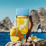Dolce & Gabbana Light Blue Eau de Parfum parfumska voda za ženske 50 ml | Shoptok.si