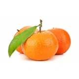 Mandarina