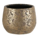 V Posuda za biljke (Keramika, 16,5 cm x 13 mm) Cijene