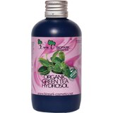 Biopark Cosmetics Bio hidrolat zelenega čaja Cene