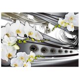  Tapeta - Orchids &amp jewelry 200x140 | shoptok.hr