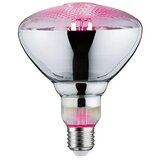 PAULMANN LED sijalka Grow Green (E27, 6,5 W, PAR38, 200 lm) Cene