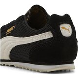 Puma Arizona Euro sarena | shoptok.hr